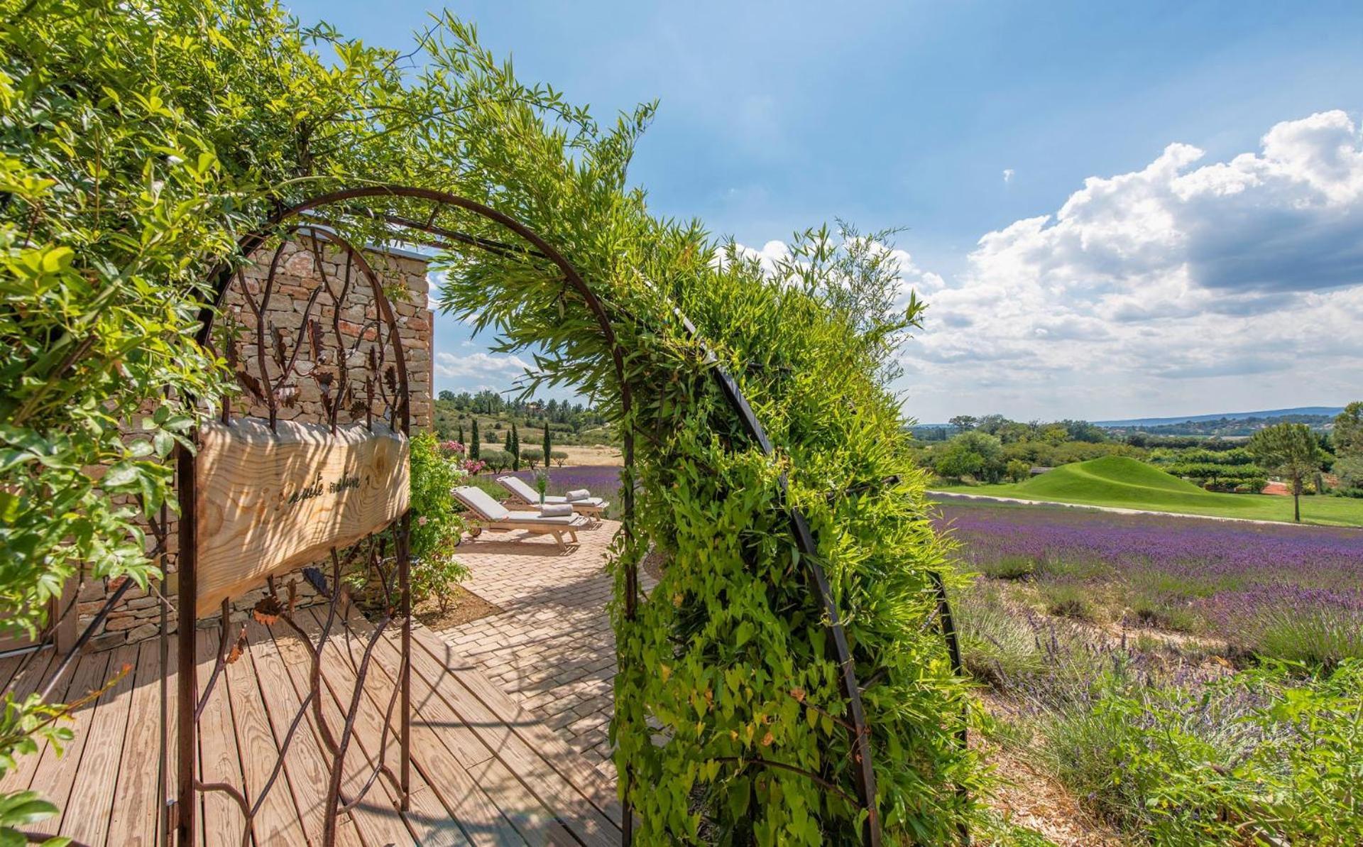 Domaine Des Andeols Hotel Сен-Сатюрнен-д'Апт Екстериор снимка